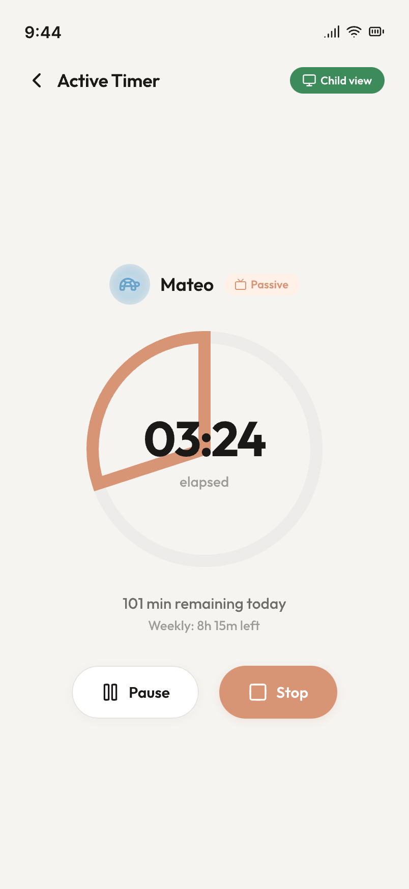 Tempora screen, Active timer
